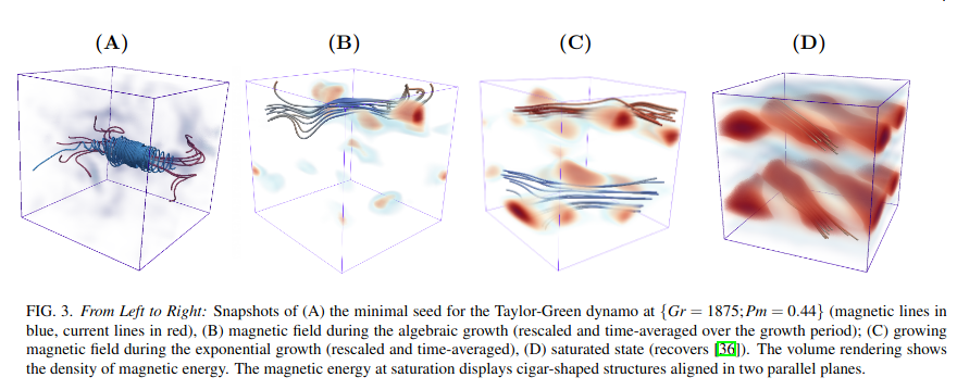 dynamo seed tg